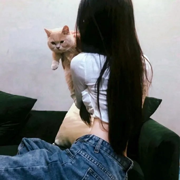 猫咪心动奇迹 在线观看