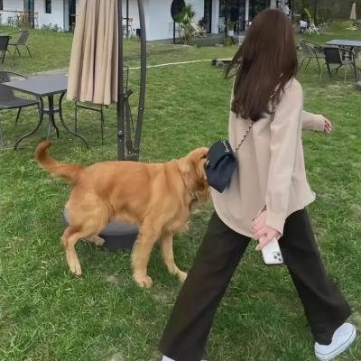 受诅的一代 在线观看